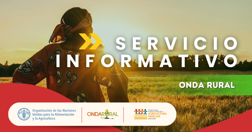 📢Servicio Informativo 22/08/2025📰

Ecuador🇪🇨 | Certificación impulsa a #mujeresrurales👩‍🌾🌾.

Argentina🇦🇷 | La #radio📻: ese desafío cotidiano de construir lo común.

Ecuador🇪🇨 | Galápagos impulsa #agriculturasostenible  con apoyo a productores👩‍🌾🧑‍🌾.

🔎👉 ondarural.org/noticias-af