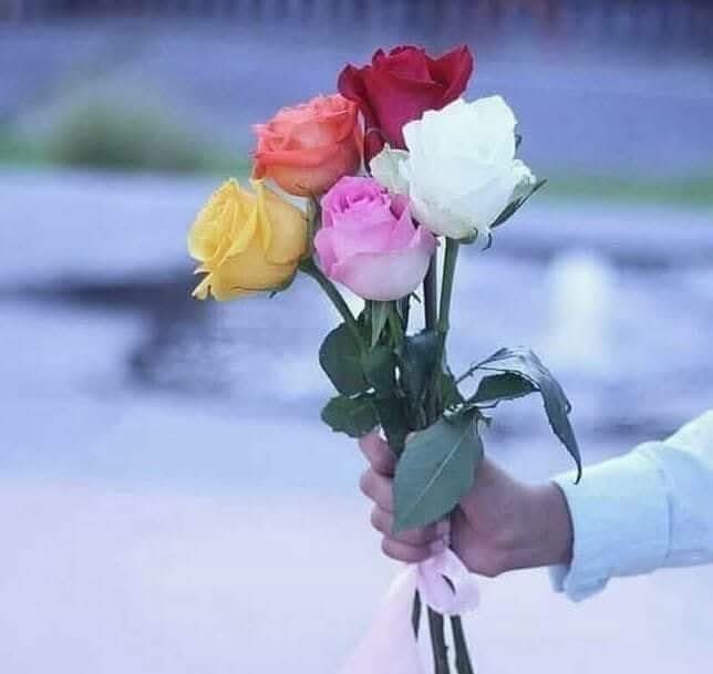 ๐๐ค๐ ู
ุนุงูุฏ ุจุญุฑ ๐๐๐ค (@moandbhr) on Twitter photo ูู
ูุจูู ููุง ุทุงูุฉ ููุนุชุงุจ ุฃู ุงูู
ุฌุงู
ูุฉ ุฃู ุญุชู ููุญุจ ุฃู ุงููุฑู ๐ฅ
ููุฏ ุฅูุชูู ุฑุตูุฏ ุงูู
ุดุงุนุฑ โค๏ธโ๐ฉน
- ุงุจุชุนุฏ ุนู ุนุงุทูุชู ุงูู
ูุฑุทุฉ ุชูููู ุนู ุงูุนุชุงุจ ููุง ุชุฌุจุฑ ุฃุญุฏุงู ุนูู ุงููููู ุจุฌุงูุจู ุฃู ุงูุจูุงุก ู
ุนู ููู ุดุฎุตุงู ู
ูุชูู ุจุฐุงุชู
ุนููุฏ ููุณู ุนูู ุฎุณุงุฑุฉ ุงูุขุฎุฑูู ๐
-ูุญูู
ุฉ ุงููุฏูู
ุฅูู ุงูุญูุงุฉ ูุญูุฏุงู ู ู
ุบุงุฏุฑุชูุง. ูู
ูุจูู ููุง ุทุงูุฉ ููุนุชุงุจ ุฃู ุงูู
ุฌุงู
ูุฉ ุฃู ุญุชู ููุญุจ ุฃู ุงููุฑู ๐ฅ
ููุฏ ุฅูุชูู ุฑุตูุฏ ุงูู
ุดุงุนุฑ โค๏ธโ๐ฉน
- ุงุจุชุนุฏ ุนู ุนุงุทูุชู ุงูู
ูุฑุทุฉ ุชูููู ุนู ุงูุนุชุงุจ ููุง ุชุฌุจุฑ ุฃุญุฏุงู ุนูู ุงููููู ุจุฌุงูุจู ุฃู ุงูุจูุงุก ู
ุนู ููู ุดุฎุตุงู ู
ูุชูู ุจุฐุงุชู
ุนููุฏ ููุณู ุนูู ุฎุณุงุฑุฉ ุงูุขุฎุฑูู ๐
-ูุญูู
ุฉ ุงููุฏูู
ุฅูู ุงูุญูุงุฉ ูุญูุฏุงู ู ู
ุบุงุฏุฑุชูุง.