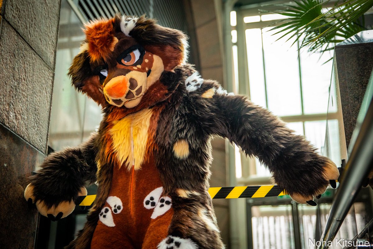 FURSUIT FRIDAY💕😌
. Finally managed to do one 
.
<a href="/Noha_Kitsune/">Noha Kitsune (LF PhotoFox)</a> 
#furry #fursuiter #fursuitfriday #fullsuiter