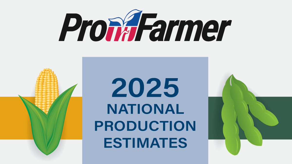 Pro Farmer estimates the U.S. corn crop at 16.204 billion bu. using an average yield of 182.7 bu. per acre. We estimate the U.S. soybean crop at 4.246 billion bu. at an average of 53 bu. per acre. 

Details: zurl.co/ur8oW