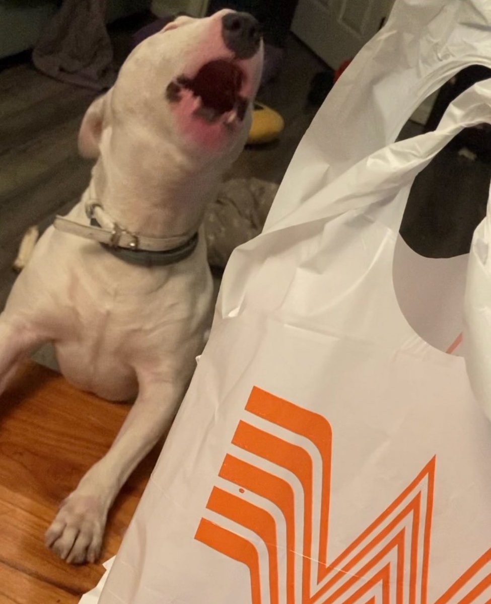 Five years ago today, Nelson screamed because he really wanted some <a href="/Whataburger/">Whataburger®</a>.