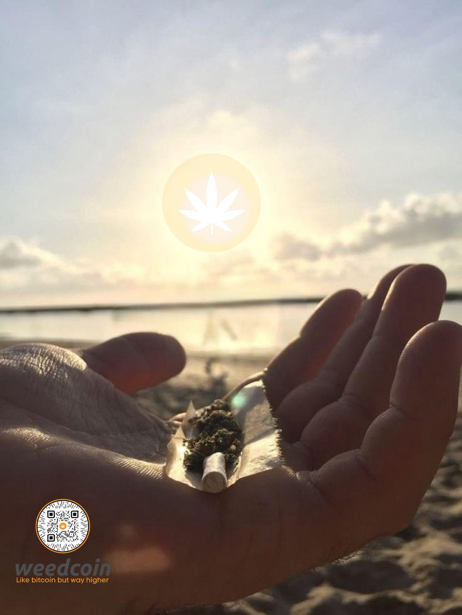 ZenSquirtle's tweet photo. @a1lon9 @traderpow For the culture 🌿☮️

$Weedcoin https://t.co/1nq9sIdLlE