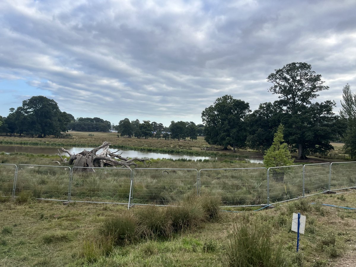 Working in Exmouth for a few days. You represent a beautiful constituency <a href="/David__Reed/">David Reed MP</a>.👇