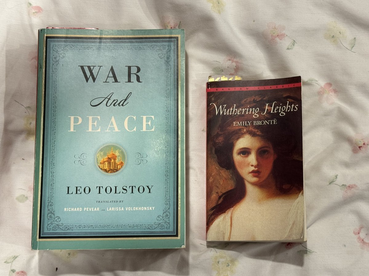 I’m still very much making my way through these two books, but my god… some of the best prose I’ve ever read