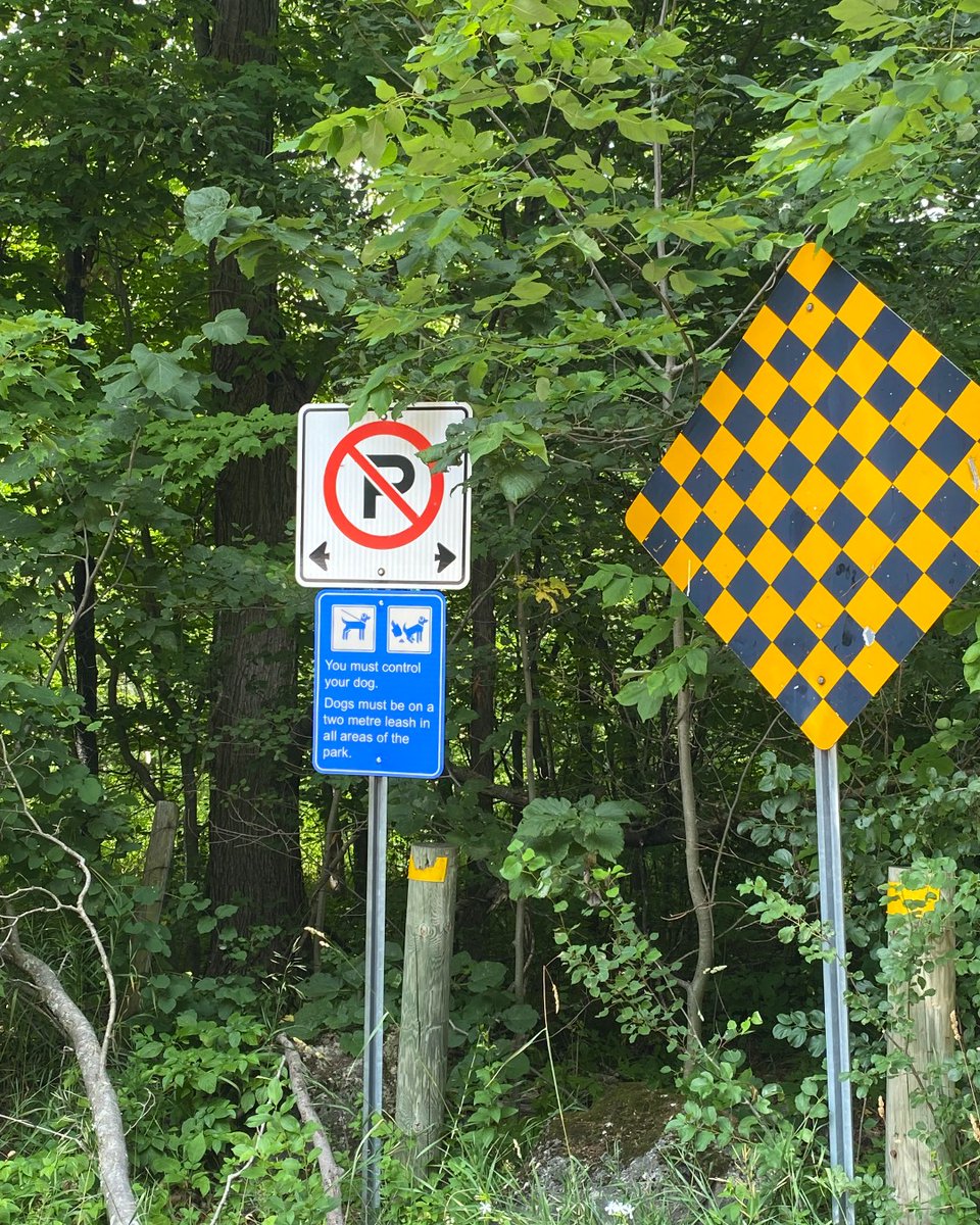 Taking your dog on a hike? Don't forget the leash! 

Remember: 
🐶 other hikers may not appreciate your pooch’s enthusiasm 
🐶 it is illegal to harass wildlife (even if the culprit is a dog) 
🐶 leashed dogs protect our parks’ ecological integrity