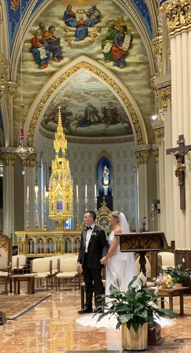 IrishTiger tweet media