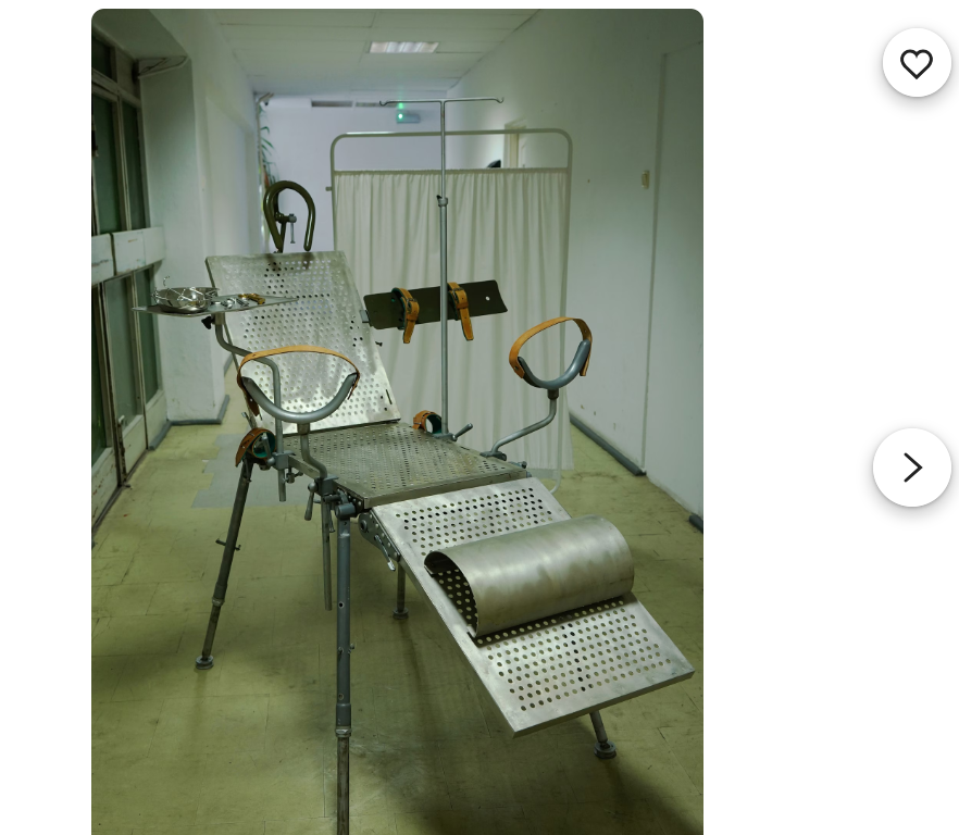 Carina DeMedici tweet media