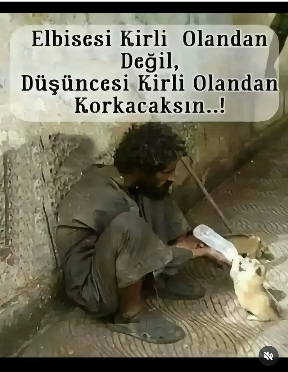 Yüreğinde tüm canlılara karşı sevgi ve merhamet barındıran herkese iyi geceler