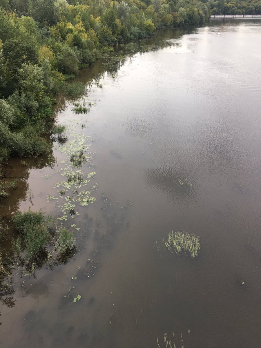 Сегодня была у большой воды — благодать!
