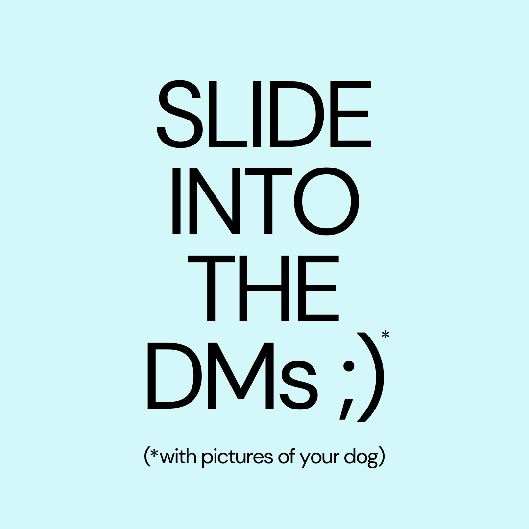 We Are Austin tweet media