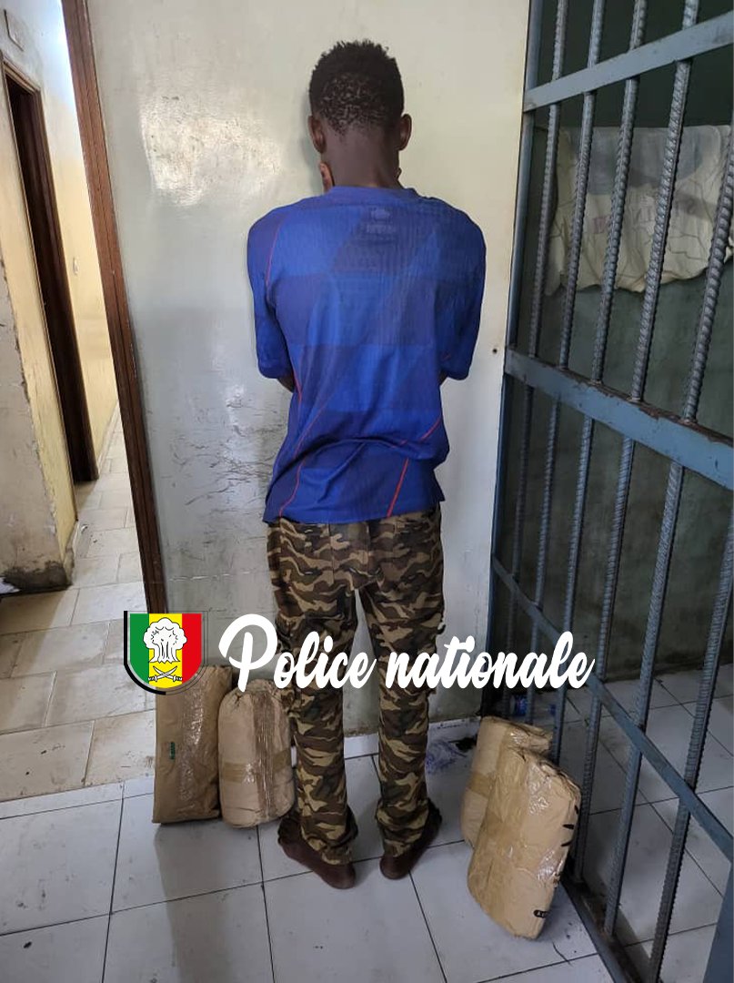 Police Nationale du Sénégal (@policenationsn) on Twitter photo SAISIE DE DROGUE À RUFISQUE 🚨
Coup de filet pour la police de Rufisque !
Suite à un renseignement, les policiers ont interpellé un homme vers 4h30 du matin. Il transportait quatre blocs de chanvre indien, soit un total de 4 kg, à bord de sa moto. 
Le suspect est en garde à vue. SAISIE DE DROGUE À RUFISQUE 🚨
Coup de filet pour la police de Rufisque !
Suite à un renseignement, les policiers ont interpellé un homme vers 4h30 du matin. Il transportait quatre blocs de chanvre indien, soit un total de 4 kg, à bord de sa moto. 
Le suspect est en garde à vue.