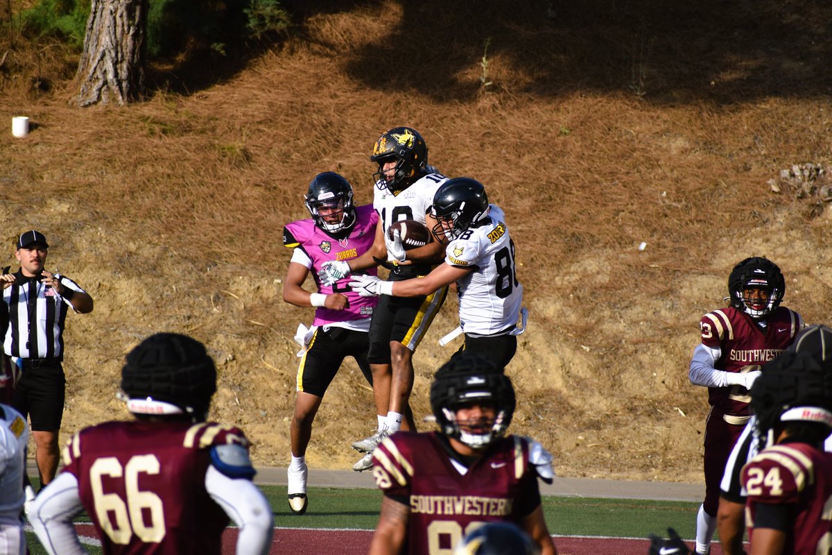 Gran día para nuestros Zorros de Fútbol Americano en Southwestern College <a href="/SWC_college/">Southwestern College</a>. Más de 60 estudiantes cruzaron la frontera para poner a prueba sus habilidades y medir su progreso rumbo a su debut en la Conferencia de los #14Grandes.

Este scrimmage en San Diego CA no solo
