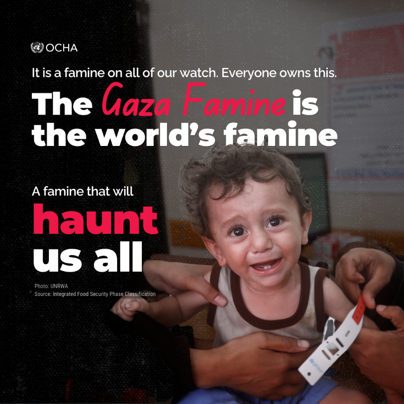 UNOCHA's tweet photo. 🚨 Famine has been confirmed in #Gaza.

This is not a headline. It is real lives at stake.

This famine is man-made – it is the result of systematic obstruction, indifference and delay.

We need action, now:
🔺An immediate #ceasefire
🔺Open crossings at scale
🔺Unimpeded access