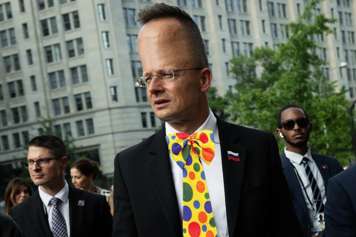 Dutch Fella 🇺🇦 tweet media