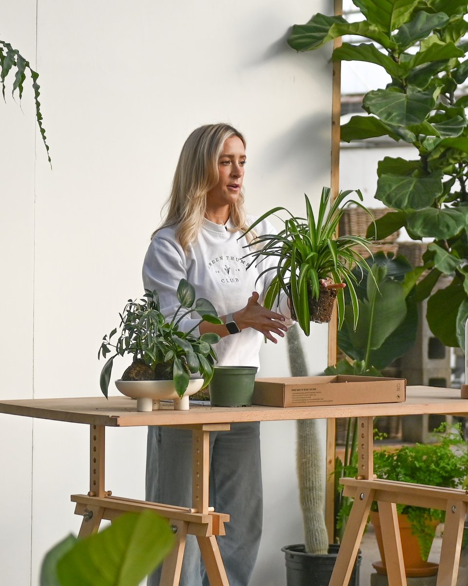 Mulhalls's tweet photo. Don't forget, tomorrow is Houseplants 101 with @houseplusplant at 9a in the Greenhouse 🌿 Learn more: https://t.co/uT98FmZSo3
#mymulhalls #houseplants101 #houseplusplant #houseplantcare #indoorjungle #plantparenthood #plantstyle #omahaplants #greenhomestyle https://t.co/tUlQtTdcx3