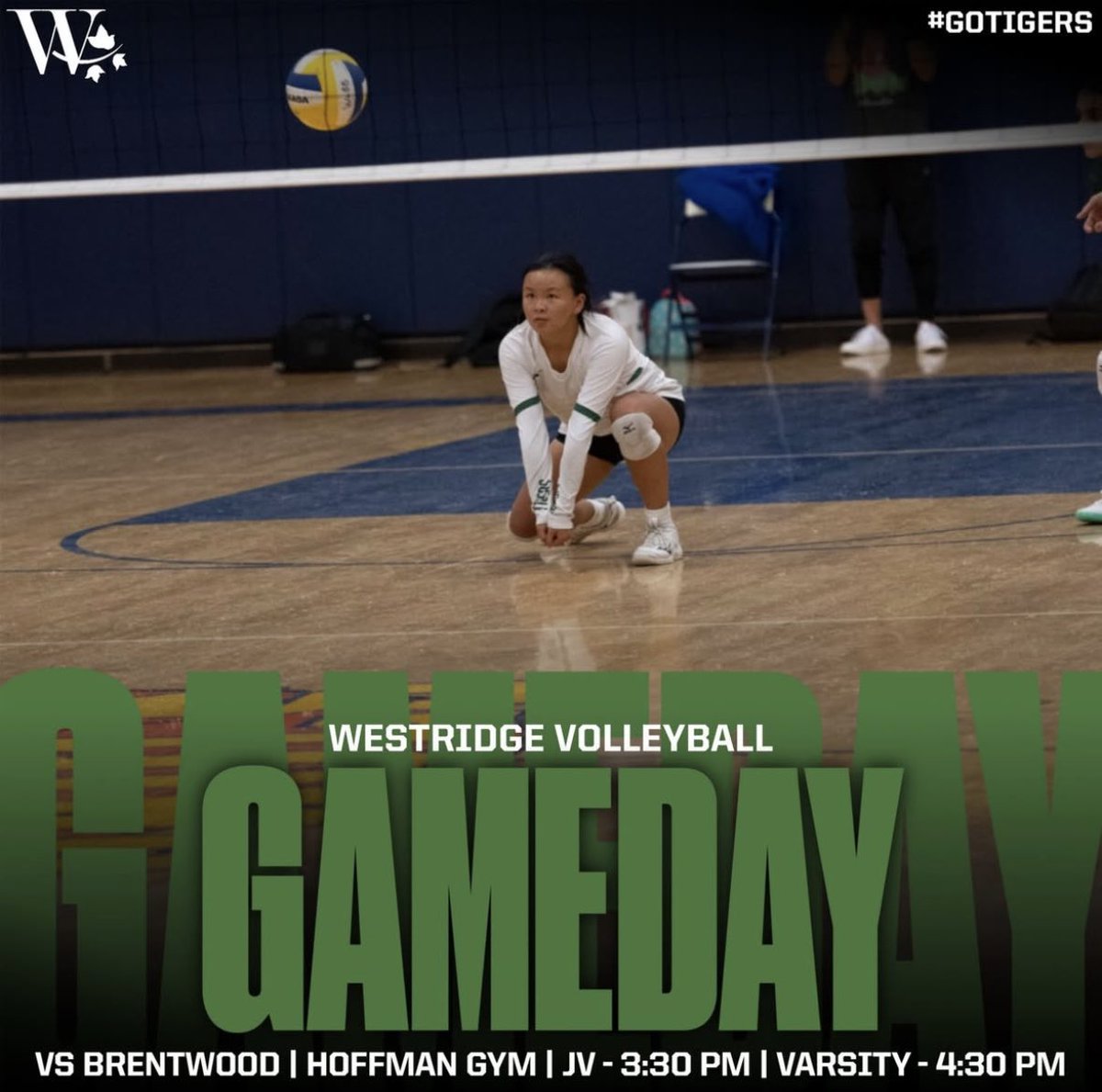 GAMEDAY 🏐

Westridge Volleyball hosts Brentwood today in Hoffman Gym! Come out and cheer on your Tigers in their home opener!

📍Westridge - Hoffman Gym
🆚 Brentwood
⏰ 3:30 PM (JV)
⏰ 4:30 PM (Varsity)

#WeAreWestridge | #GoTigers