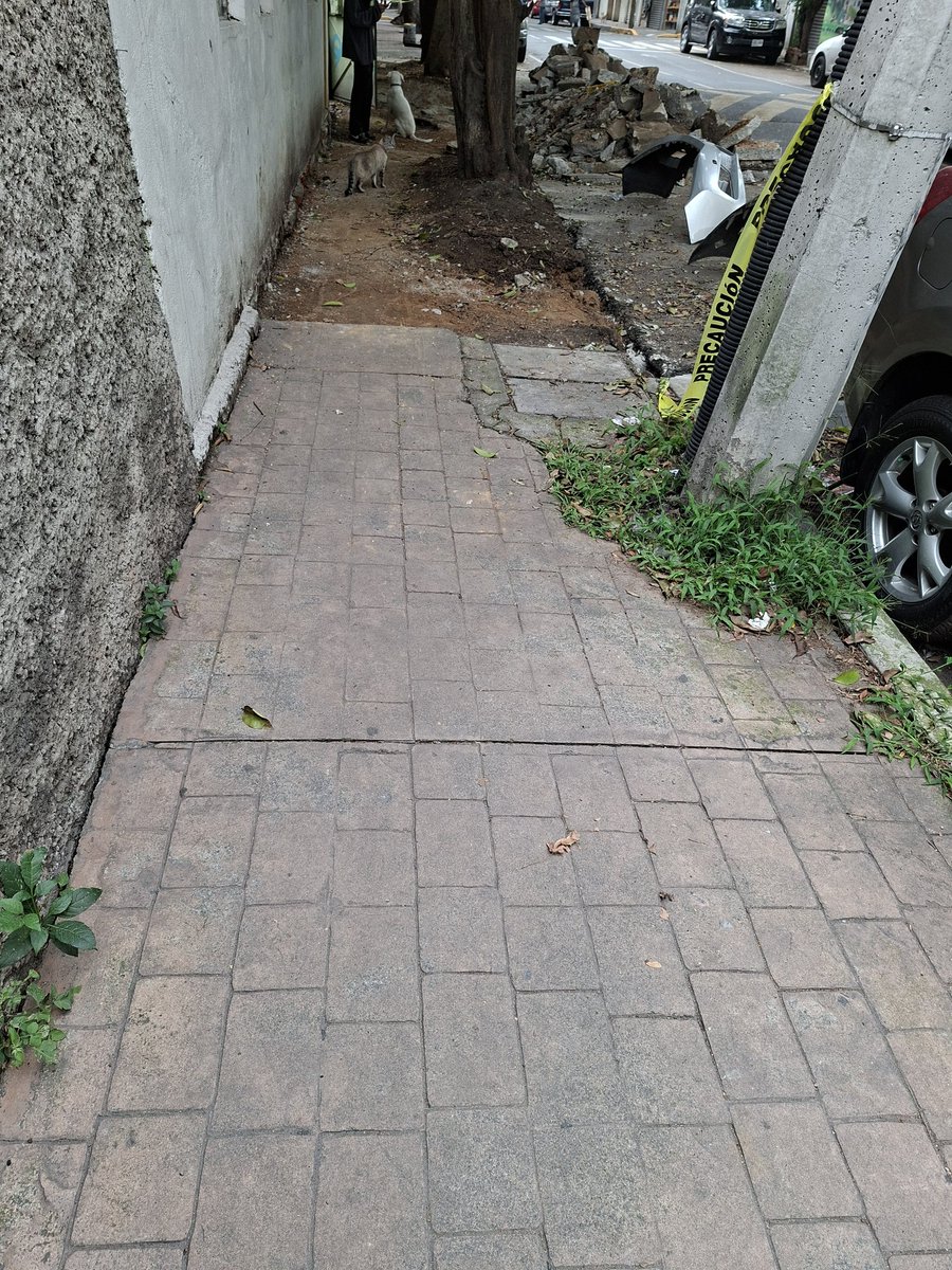 Jezabel Alonso (@jezabel_alonso) on Twitter photo Oye <a href="/Antonio_Carbia/">Antonio Carbia</a> ¿Cómo ves? Ayer fueron a quitar esa parte de la banqueta y así la dejaron.
No hay alguien trabajando ni nada.
¿No se supone que la <a href="/AlcaldiaMHmx/">Alcaldía Miguel Hidalgo</a> debió terminar todo y llevarse su cascajo? Oye <a href="/Antonio_Carbia/">Antonio Carbia</a> ¿Cómo ves? Ayer fueron a quitar esa parte de la banqueta y así la dejaron.
No hay alguien trabajando ni nada.
¿No se supone que la <a href="/AlcaldiaMHmx/">Alcaldía Miguel Hidalgo</a> debió terminar todo y llevarse su cascajo?