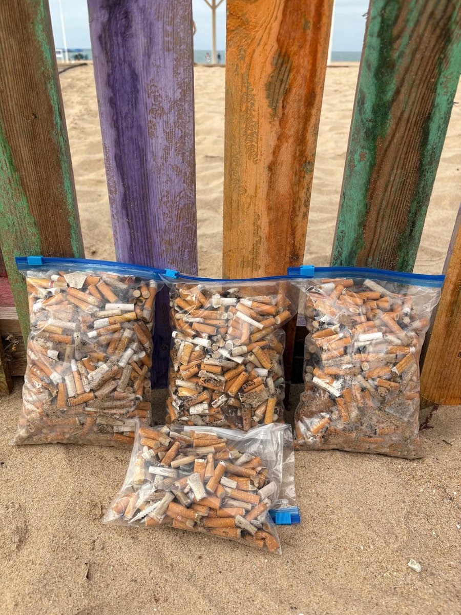 VerdesEquoRota's tweet image. Recogida de colillas hoy en playa de la Costilla, #Rota
Gracias a las personas voluntarias, a QuiQue Bolsitas y a nuestro compañero de Verdes EQUO Rota , Abraham López Morales