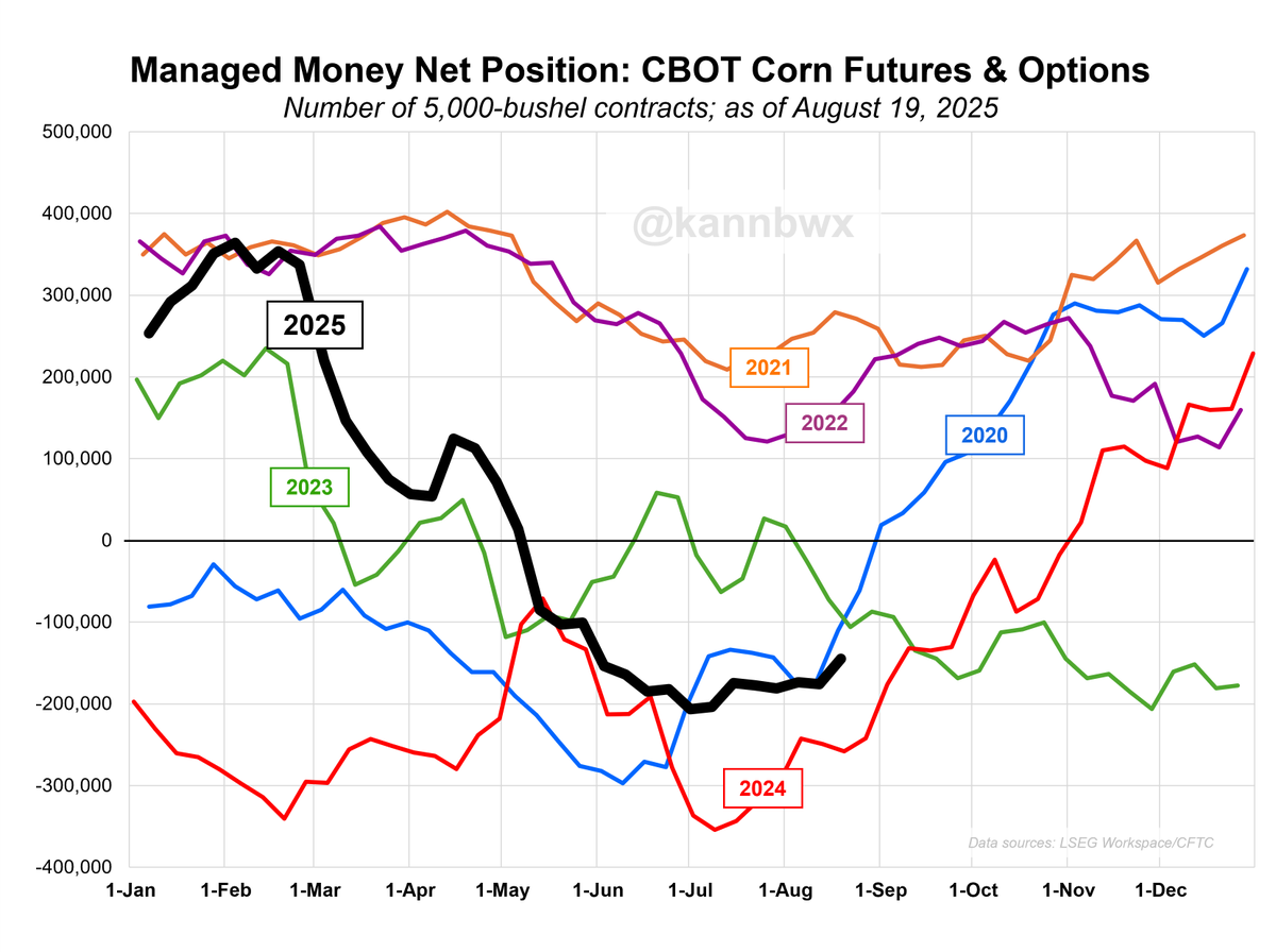 Money managers in the week ended Aug. 19 cut their net short in CBOT corn fut&amp;opt to a 12-week low of 145k contracts. That move was almost entirely due to new gross long positions, not short covering.