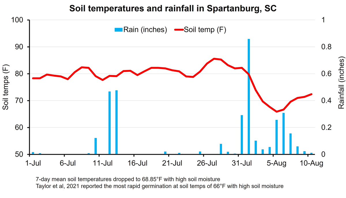 Abnormally cool and wet conditions in August have triggered early poa germination in upstate SC. This is in addition to a few plants that persisted through summer. Consider a POST with a PRE this fall where expectations are high. Happy to help build a program that works for you.