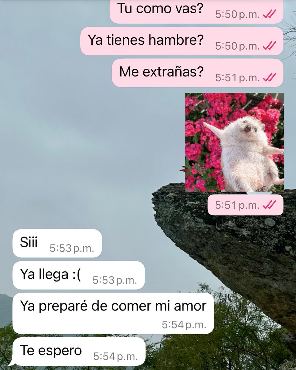 3_chio's tweet image. Goals 🤍