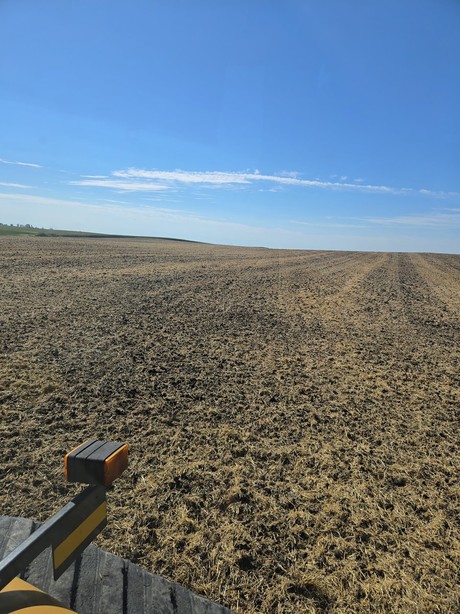 Trying the Qwik Till this year on some barley stubble. Hoping to chop up the residue and get the volunteer barley going. So far pretty happy with the look