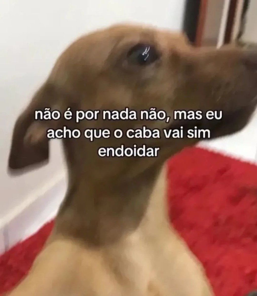 csainzthe1's tweet photo. dizer para CRIANÇAS de 7 ANOS arrumar um EMPREGO https://t.co/DqSh46O8g9