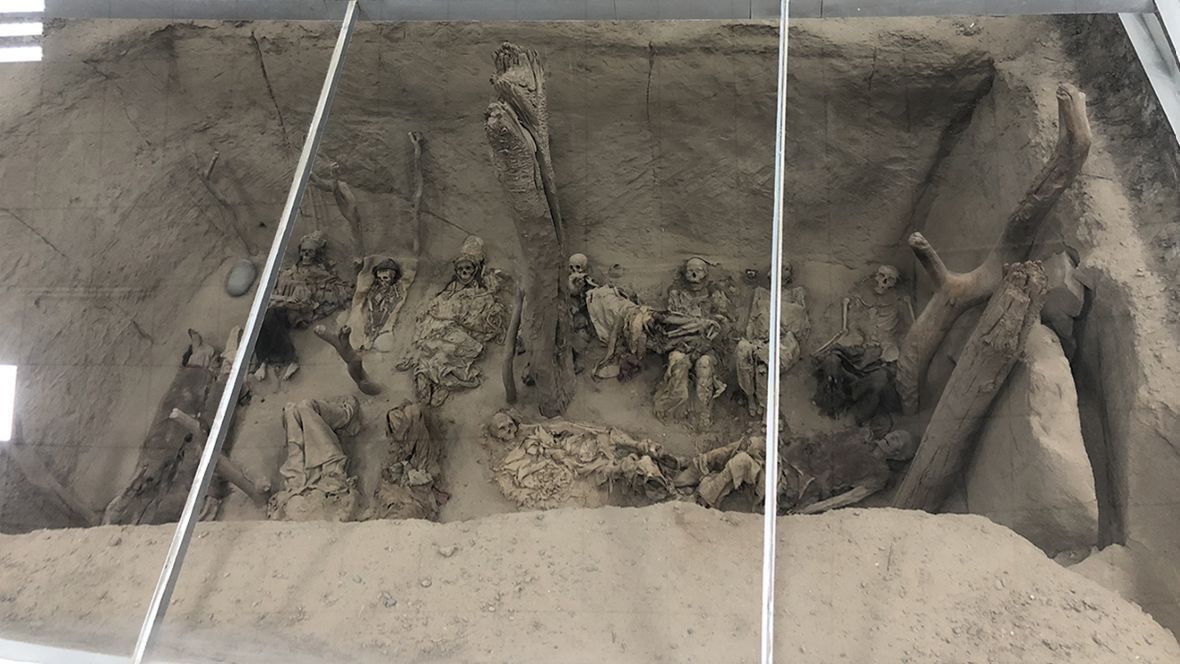 Burial from Bronze Age Zhagunluq cemetery, Xinjiang 🇨🇳
Isotope analysis indicates some hunters and herders from the site migrated long distances, encountering other communities and sowing the seeds for the networks that would become the Silk Roads.

(£) doi.org/10.15184/aqy.2…