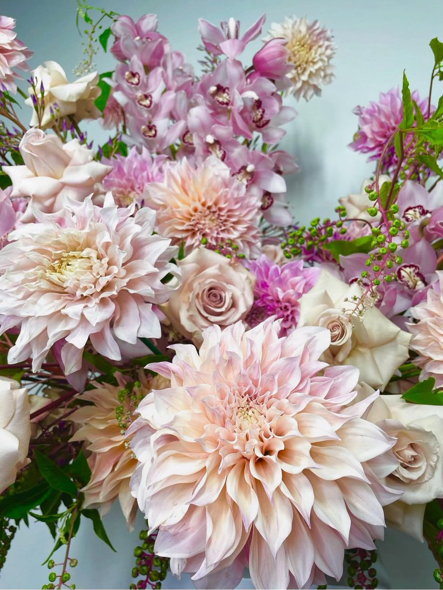 Heureux Anniversaire Wilky 🎂🎁 <a href="/wilkytoussaint/">Wilky Toussaint</a> 🌹
💙