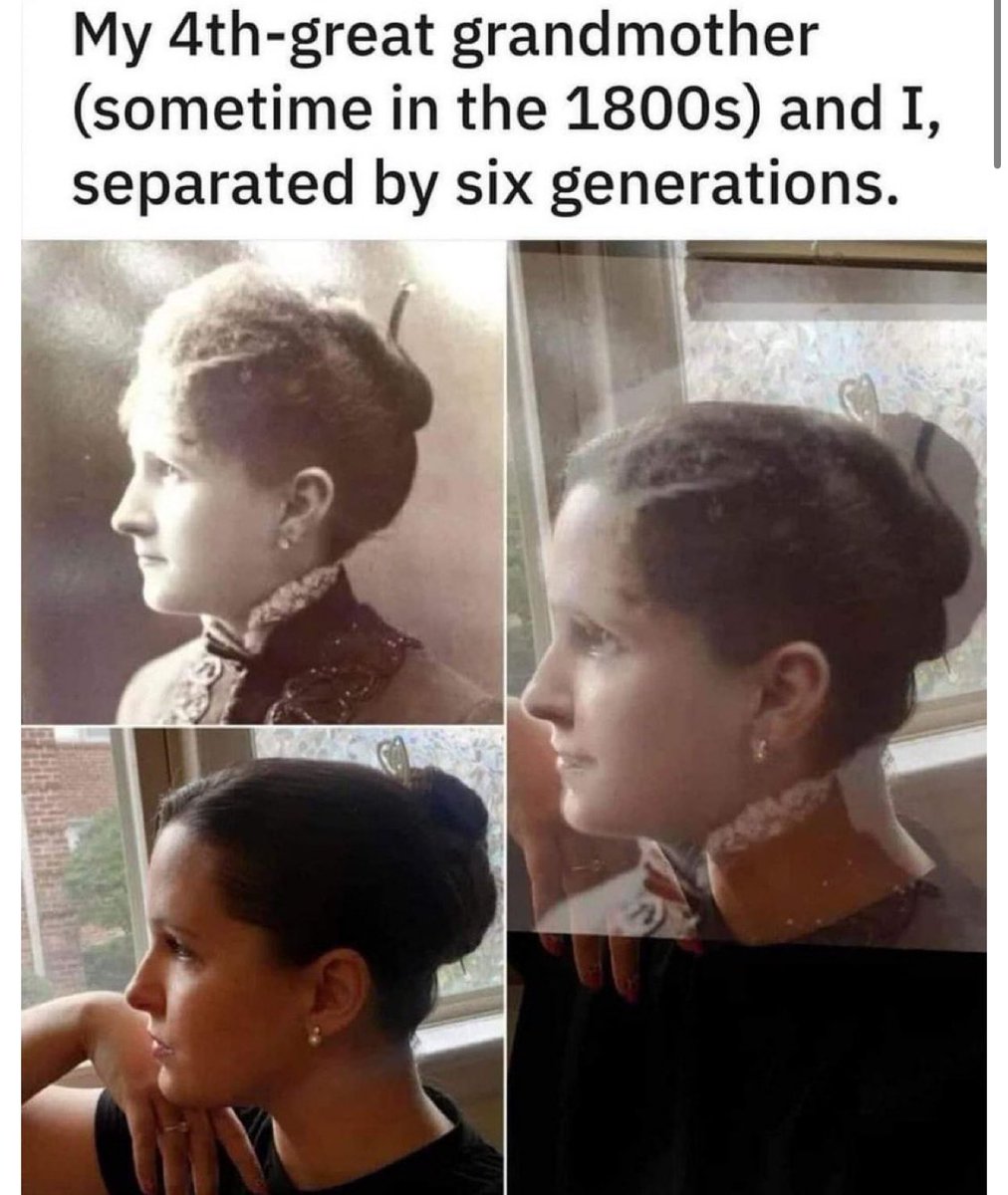 realpatriotM's tweet image. 