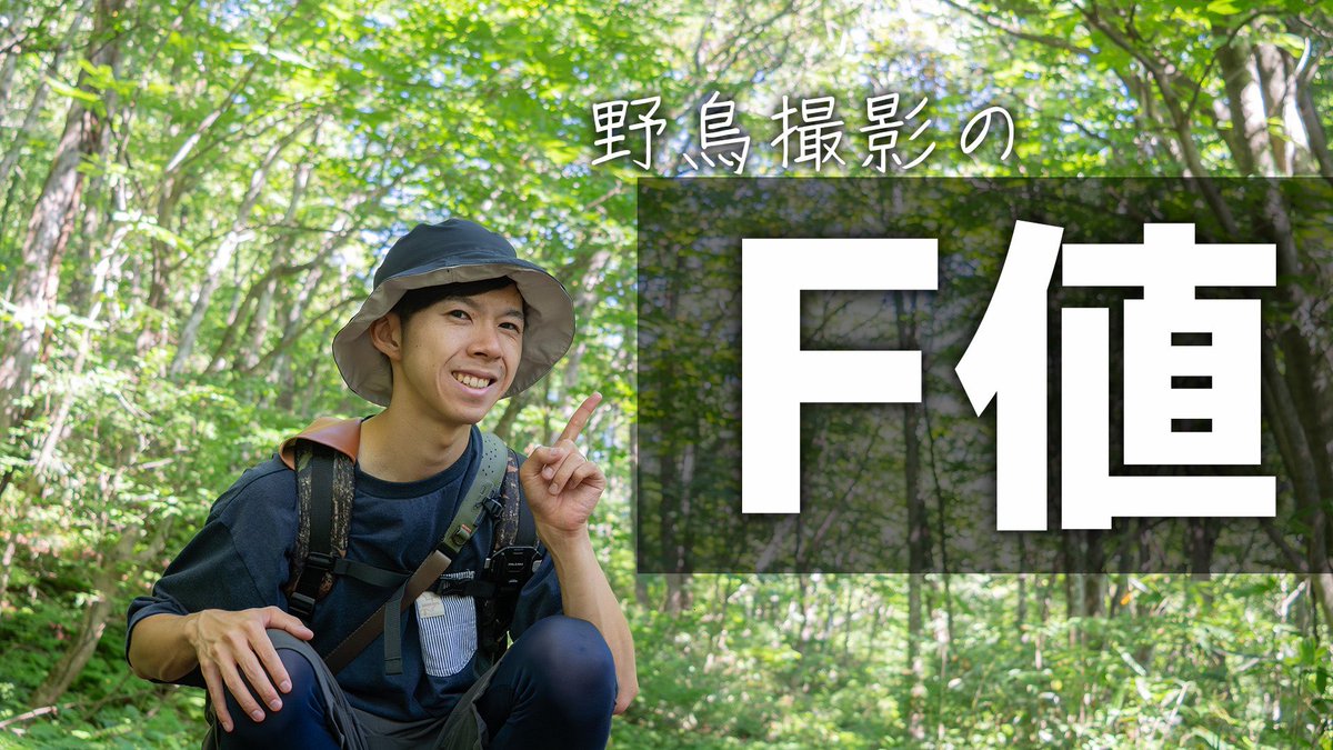 本日19時に久しぶりの解説動画をアップします！

シャッタースピードの考え方は以前アップしましたが、今回は野鳥撮影のF値についての考え方を解説しました。

ぜひご覧ください！