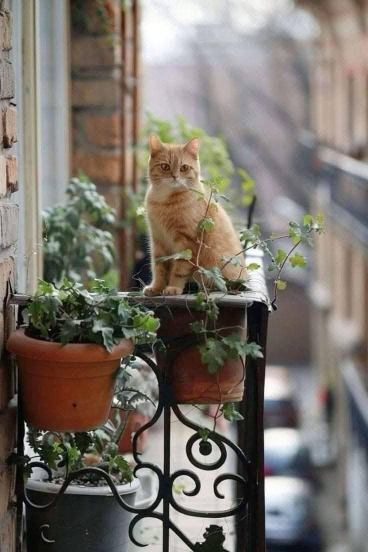 <a href="/JonesSeeker/">Truth Seeker</a> Thank you!