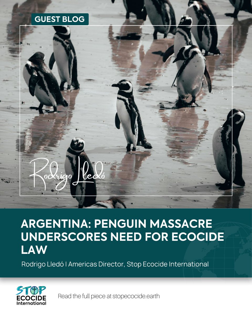 Stop Ecocide International tweet media