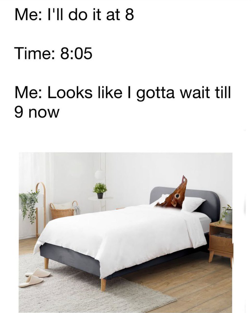 Sun Optimist (@cristusvictor) on Twitter photo 