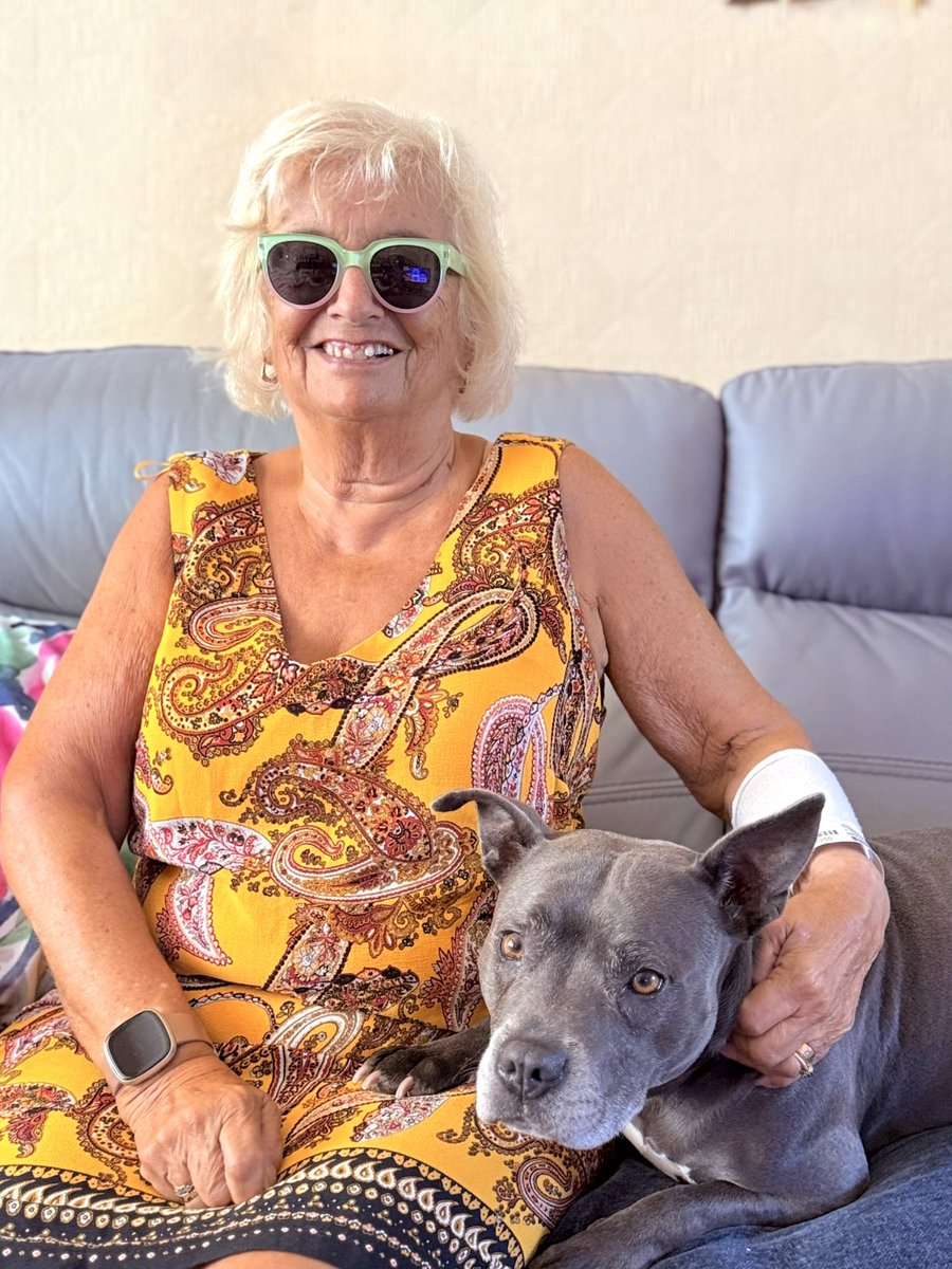 Isa Mary (@isamary2021) on Twitter photo Nanny had an operation on her eyes and has to wear dark glasses. I’m giving her lots of cwtches (Welsh hugs) but I’m being very gentle ❤️❤️ <a href="/IsasNanny/">Isa"s Nanny</a> #IsaMary #NurseIsa #DogsAreFamily Nanny had an operation on her eyes and has to wear dark glasses. I’m giving her lots of cwtches (Welsh hugs) but I’m being very gentle ❤️❤️ <a href="/IsasNanny/">Isa"s Nanny</a> #IsaMary #NurseIsa #DogsAreFamily