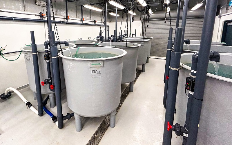 🐟 Vous cherchez à optimiser vos activités aquacoles? Le Centre d’innovation en production aquacole du <a href="/FlemingCollege/">Fleming College</a> soutient la R-D dans ce secteur grâce à ses 3 laboratoires de systèmes d’aquaculture en recirculation et d'efficacité de la production 🔗 bit.ly/45OJZEd