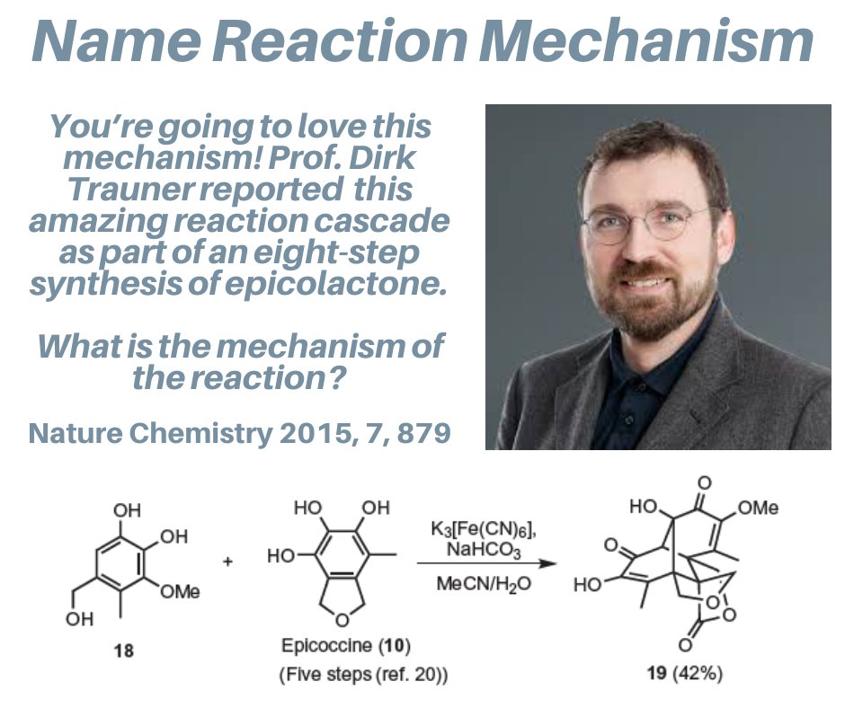 TambarLab tweet media