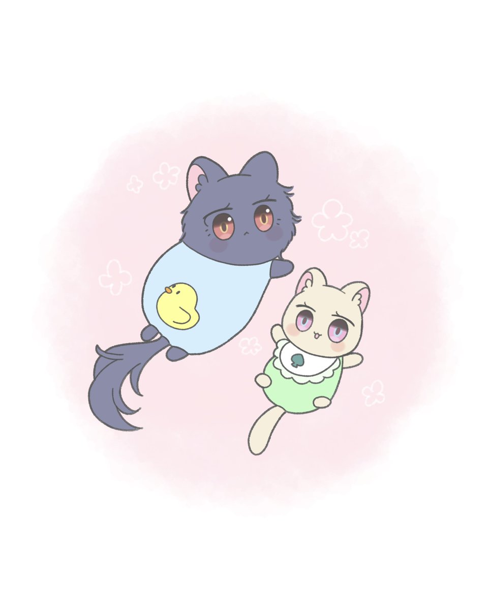 べぃびぃきゃっとなアベンシオ🐾
#aventio