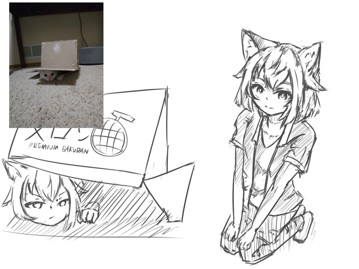 Sarion_ (@sarionvulpini) on Twitter photo 