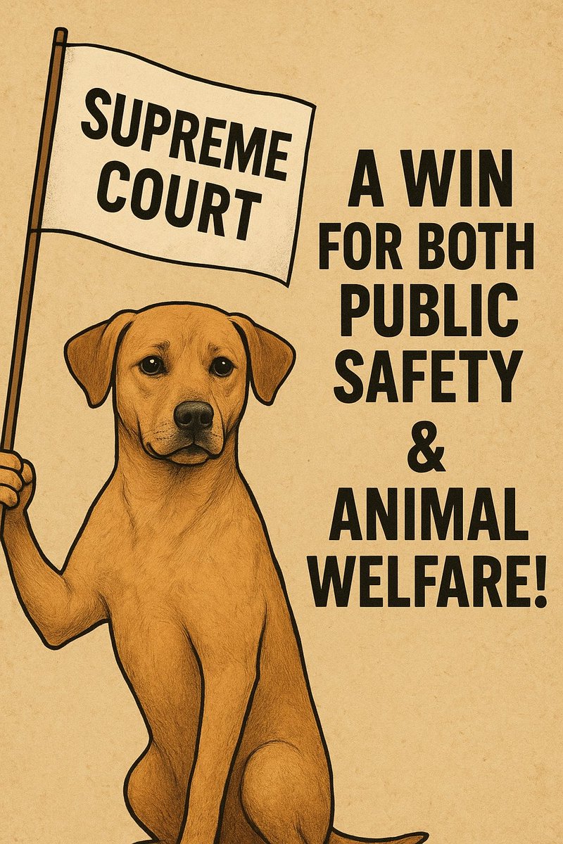i_yb_rohit's tweet image. Earlier I said – trust the Supreme Court! 🏛️
Today’s verdict proves it: Stray dogs will be sterilised, vaccinated &amp;amp; returned to their areas not left to suffer in unsafe shelters.
A win for both public safety &amp;amp; animal welfare! 🐾
#SupremeCourt #CompassionWithSense&quot;