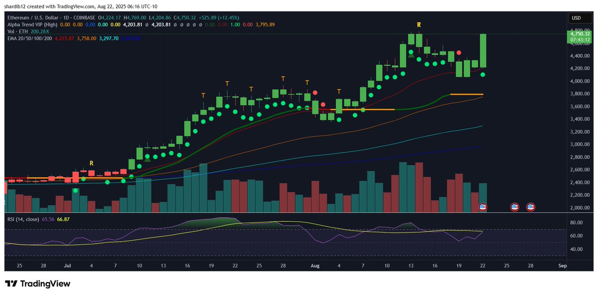 Don’t Follow Shardi B If You Hate Money tweet media