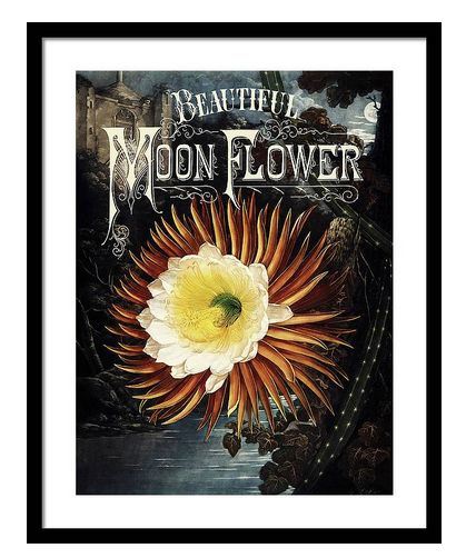 MoonWoodsShop's tweet photo. Beautiful Moon Flower - botanical #fantasyart  #typography #poster
https://t.co/b5U1uvvapq
#MoonWoodsShop #fallforart #artforsale #NatureBeauty #BotanicalBeauty #moonflower https://t.co/rnJKBFMiTX