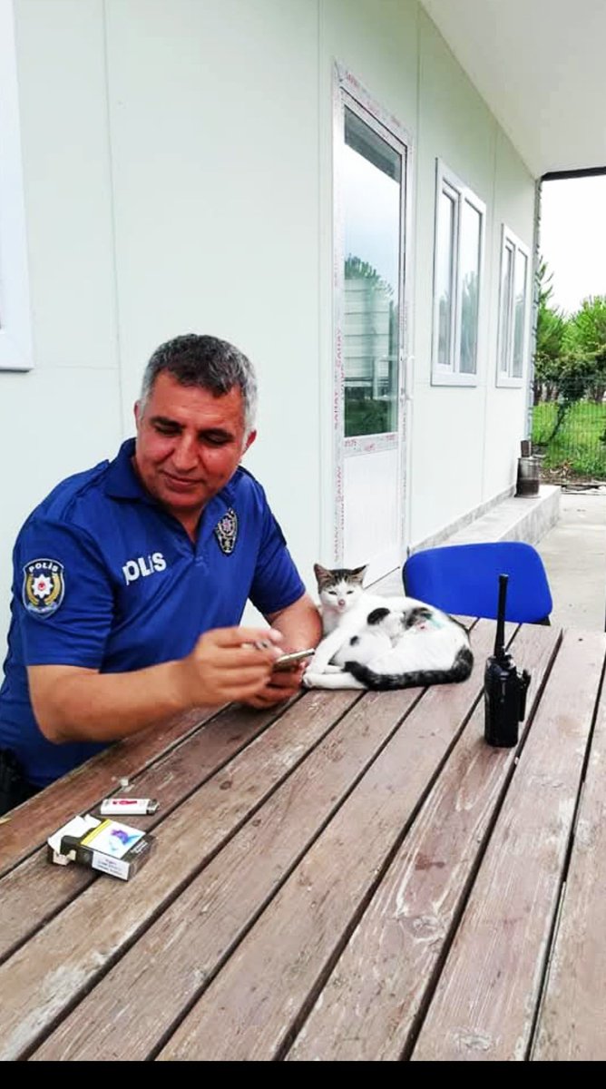 Geçmiş olsun Deli oğlan, Allah tekrarını göstermesin.