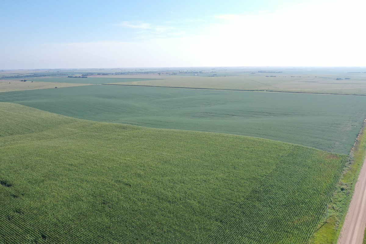Dryland Farm For Sale!
Here is a great opportunity to add 81.65+/- acres to your land holdings. Don't miss out!
Call Joel Grams at (308) 830-0166 for more information.
View the listing on our website: agwestland.com/property/81-56…
#NewListing #LandForSale #AgWestLandBrokers #Nebraska