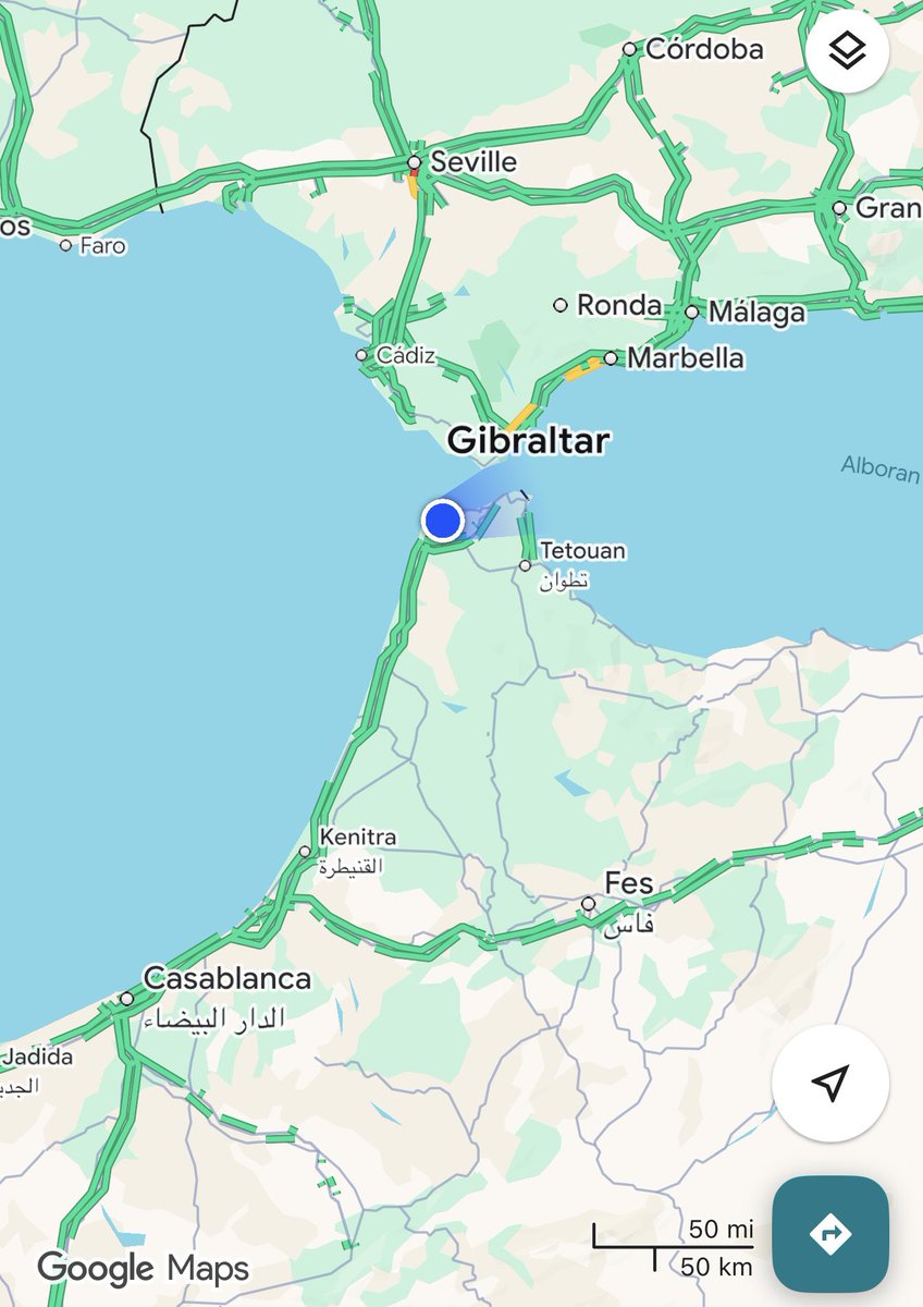 Bruce Robertson tweet media