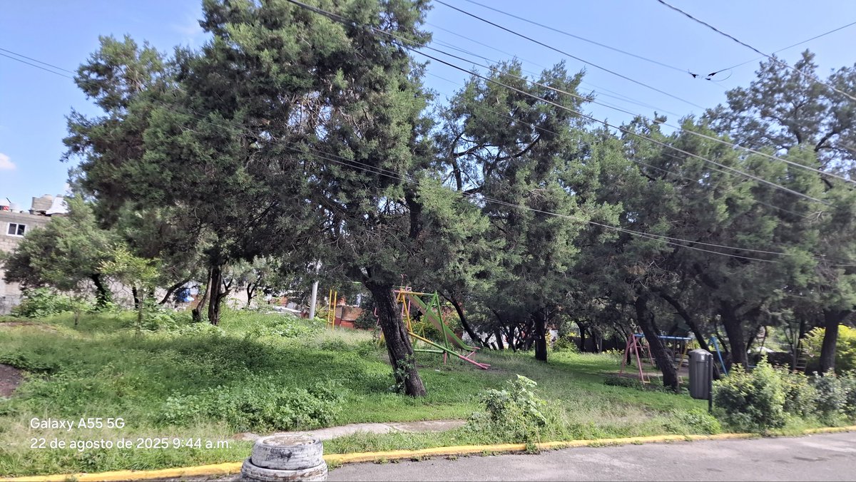 RodolfoMig65682's tweet photo. @ClementeGomezM @pepechedrauimx @PueblaAyto @Servicios_Pub solicitamos mantenimiento al parque de clavijero ya que la maleta ha crecido considerablemente esperamos la intervención de la cuadrilla ,porque clavijero también es parte de la capital imparable https://t.co/SqtFarIdnj