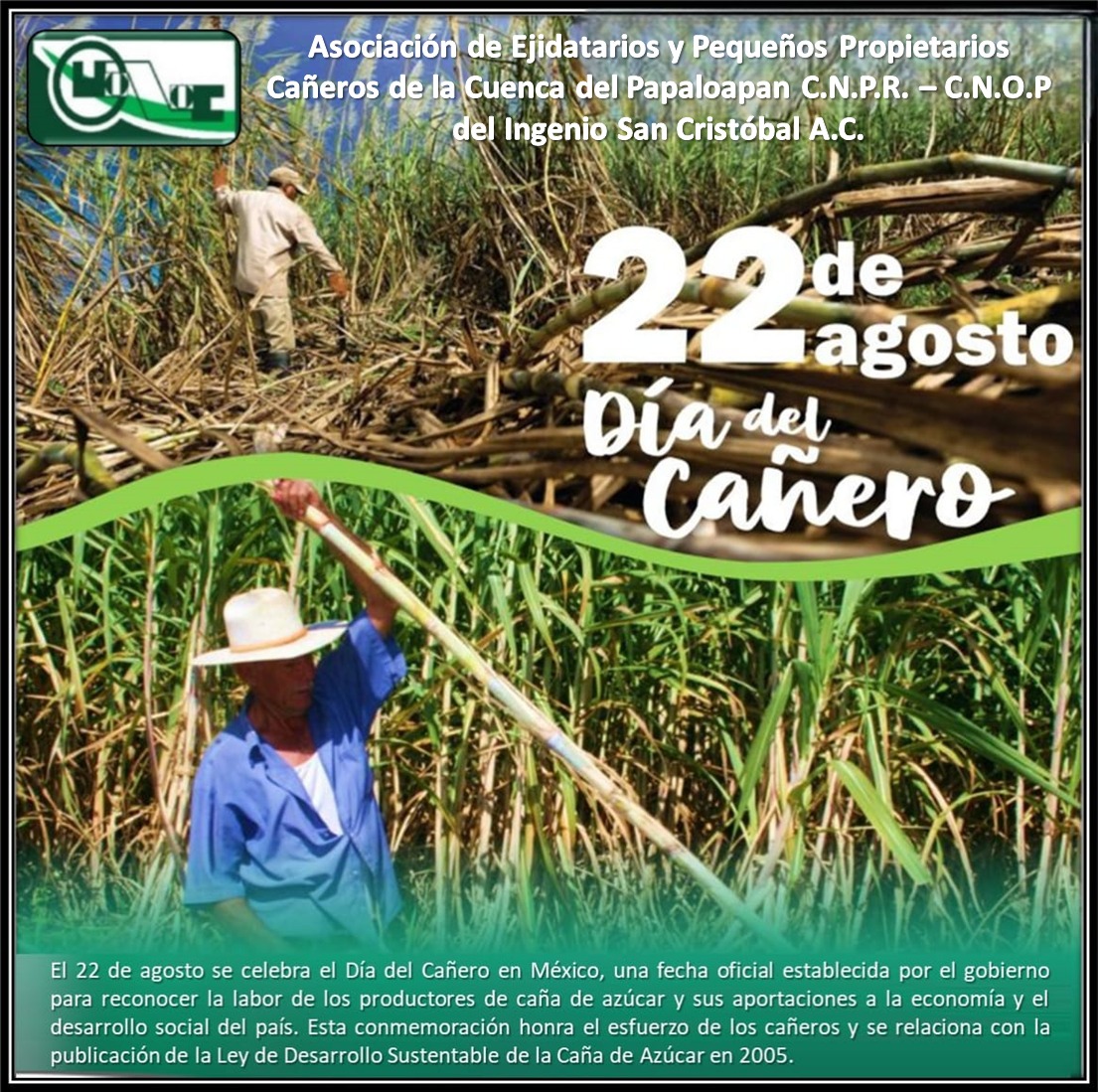 22 de agosto Día del Cañero