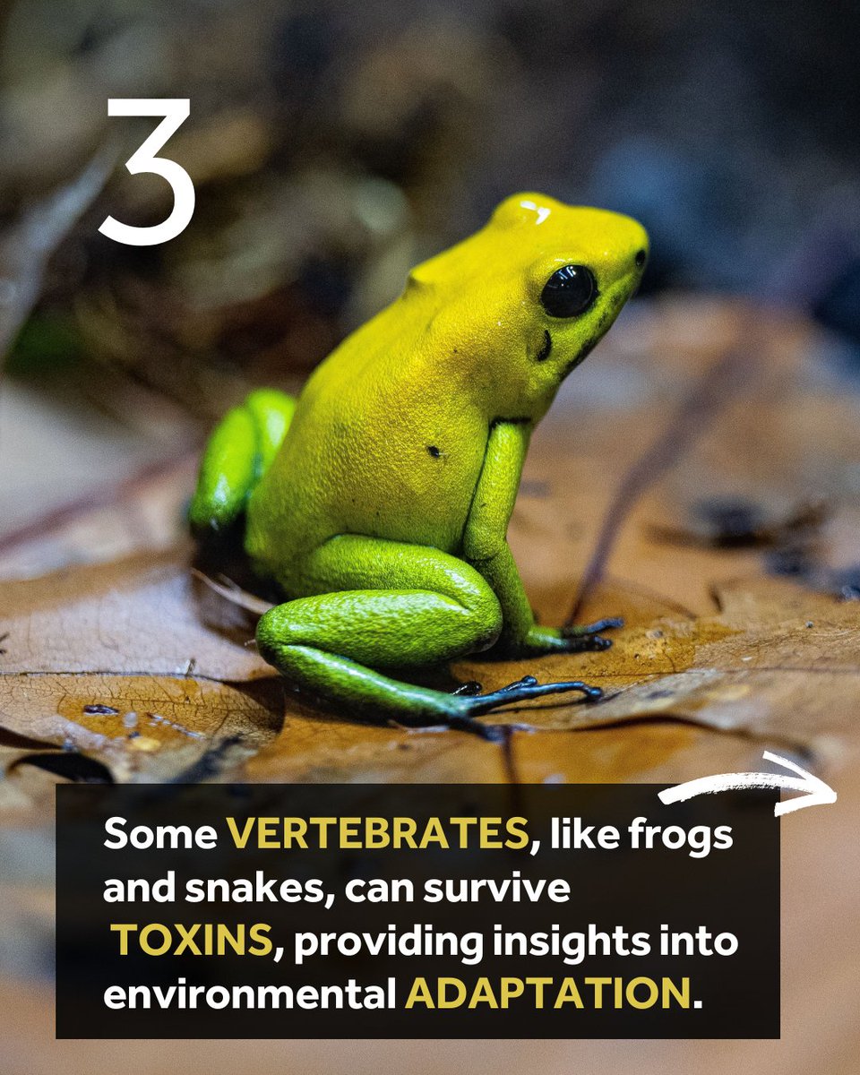 Earth BioGenome Project 🌍 tweet media