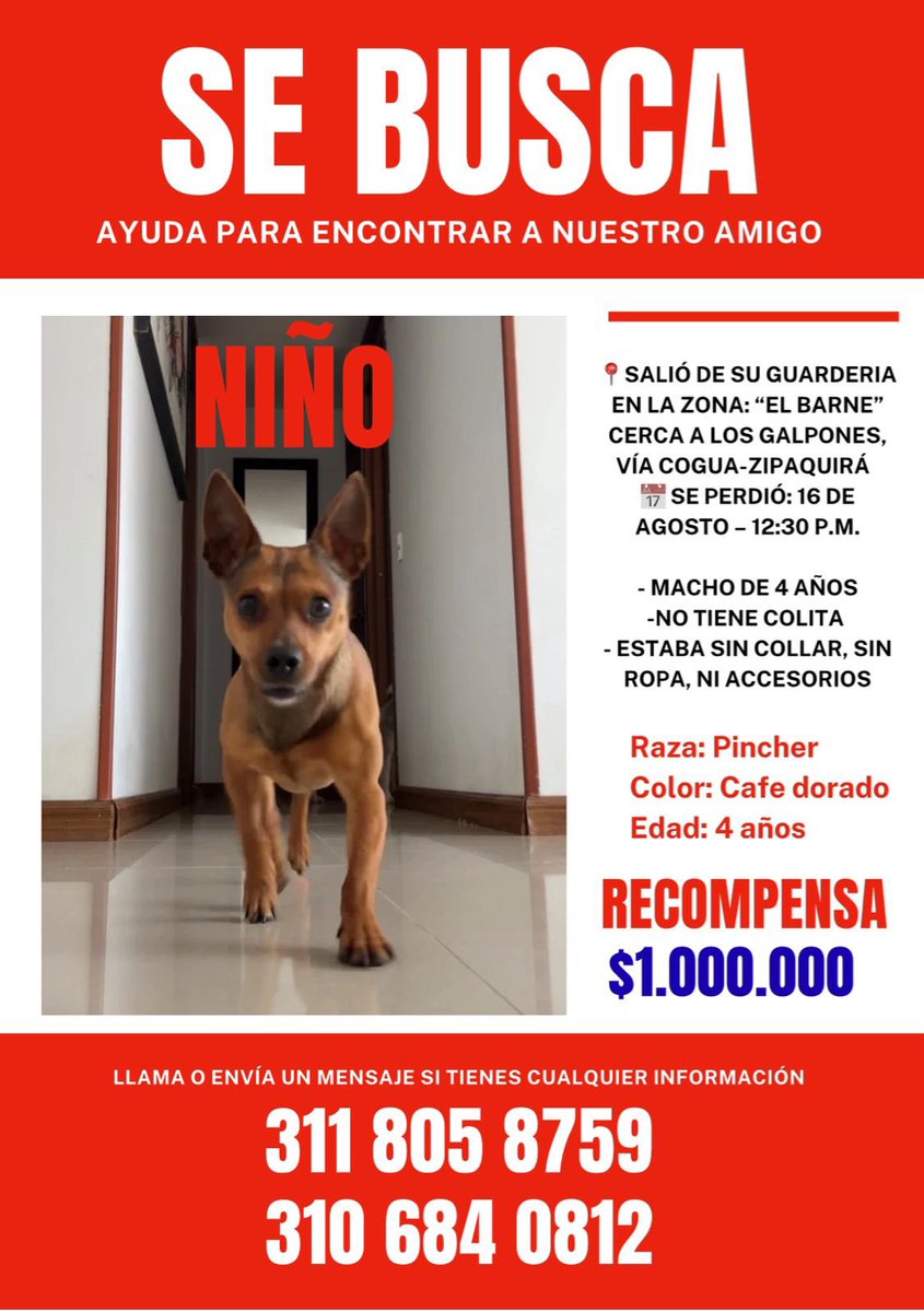 Camilo Jaramillo (@camilojaramill) on Twitter photo 🆘 Otro perrito desaparecido en guardería canina, se busca 🐶, desde el 16 de agosto en Zipaquira, por favor compartamos 🙏
<a href="/MONYRODRIGUEZOF/">MÓNICA RODRÍGUEZ 🐤</a> <a href="/PlataformaALTO/">Plataforma ALTO</a> <a href="/Marce_Tabares/">Marce Tabares 🐶</a> <a href="/piedrahitangela/">Ángela Piedrahita 🐤</a> <a href="/DanielSamperO/">Daniel Samper Ospina</a> <a href="/HELIODOPTERO/">Gonzalo Guillén</a> @coraimatorresd <a href="/patrulleroefra/">Efrain Arce</a> <a href="/laurarubiogu/">Laura C</a> <a href="/darcyquinnr/">Darcy Quinn</a> 🆘 Otro perrito desaparecido en guardería canina, se busca 🐶, desde el 16 de agosto en Zipaquira, por favor compartamos 🙏
<a href="/MONYRODRIGUEZOF/">MÓNICA RODRÍGUEZ 🐤</a> <a href="/PlataformaALTO/">Plataforma ALTO</a> <a href="/Marce_Tabares/">Marce Tabares 🐶</a> <a href="/piedrahitangela/">Ángela Piedrahita 🐤</a> <a href="/DanielSamperO/">Daniel Samper Ospina</a> <a href="/HELIODOPTERO/">Gonzalo Guillén</a> @coraimatorresd <a href="/patrulleroefra/">Efrain Arce</a> <a href="/laurarubiogu/">Laura C</a> <a href="/darcyquinnr/">Darcy Quinn</a>