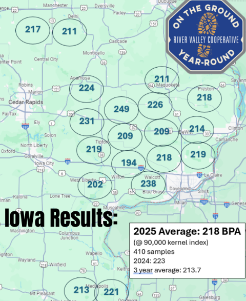 🌽 2025 RVC Crop Tour 🌽
750 samples show:
📍 Iowa: 218 bpa (↓ from 223)
📍 Illinois: 218 bpa (↓ from 220.5)
➡️ Still 4–5 bpa above 3-yr avg!

Moisture &amp; disease trimmed top-end yield. Fungicides helped, but watch stalk quality. Solid year—every bushel counts!